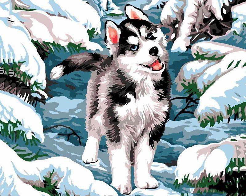 Paint by numbers - Siberian Husky – Figured'Art US