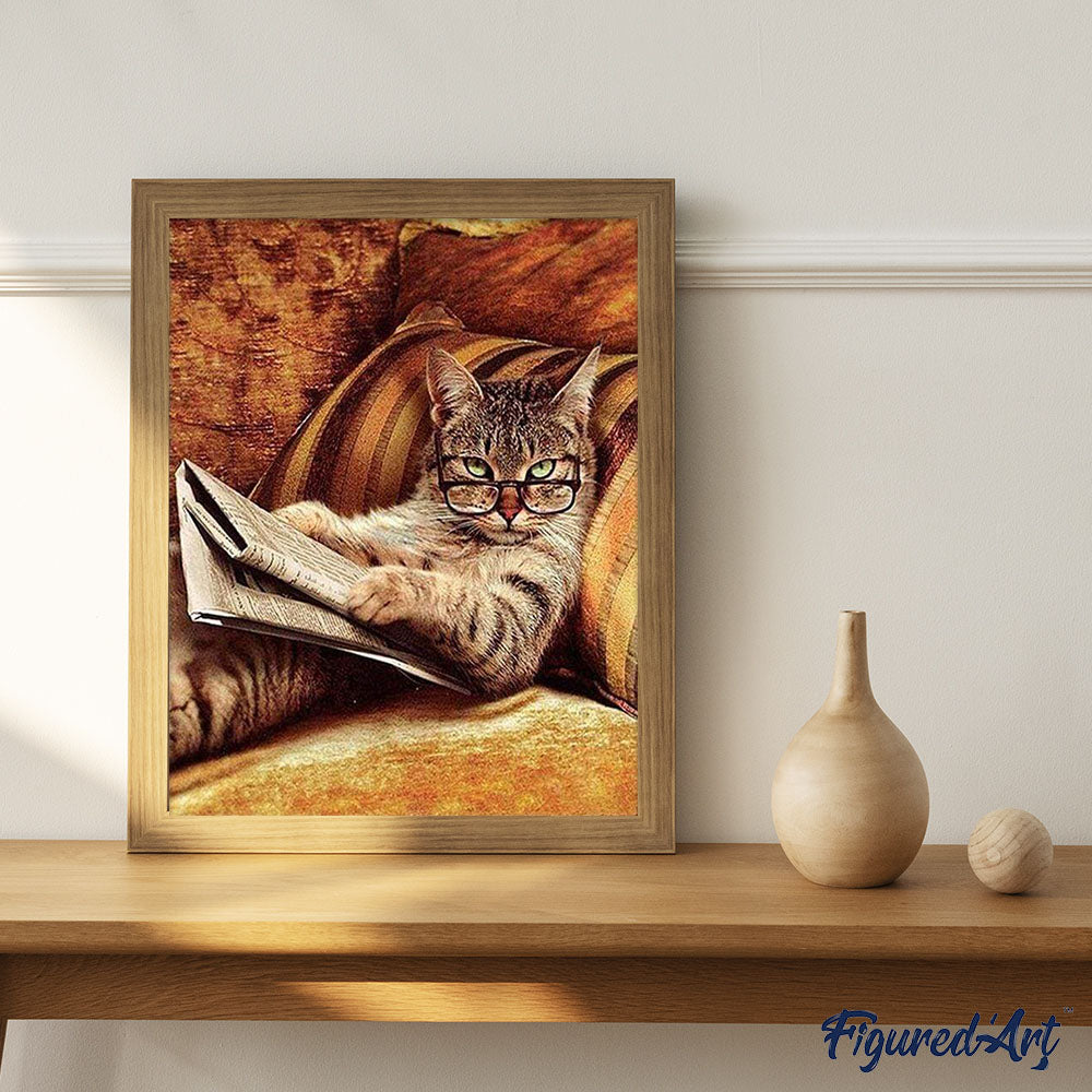 MEIYUDA DIY Paint by Numbers for Adults Funny Cat, Paint by MEIYUDA DIY Paint by Numbers for Adults Funny Cat, Paint by