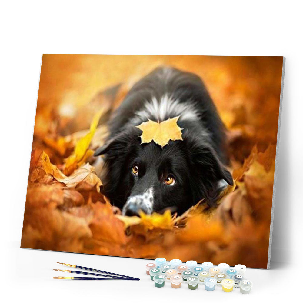 paint by numbers | Black Dog relaxing | animals dogs intermediate | FiguredArt