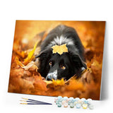 paint by numbers | Black Dog relaxing | animals dogs intermediate | FiguredArt
