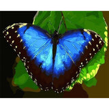paint by numbers | Blue butterfly | animals butterflies easy | FiguredArt