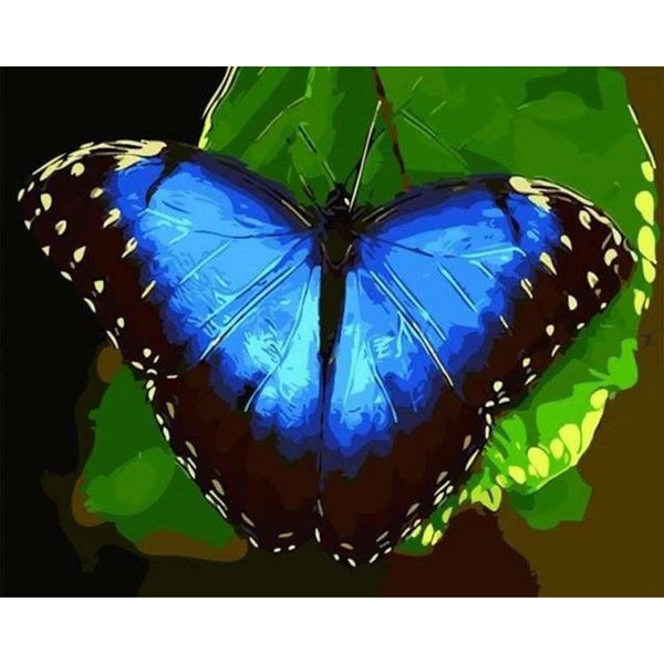 paint by numbers | Blue butterfly | animals butterflies easy | FiguredArt