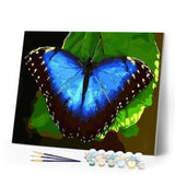 paint by numbers | Blue butterfly | animals butterflies easy | FiguredArt
