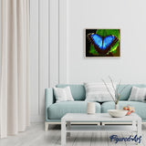 paint by numbers | Blue butterfly | animals butterflies easy | FiguredArt