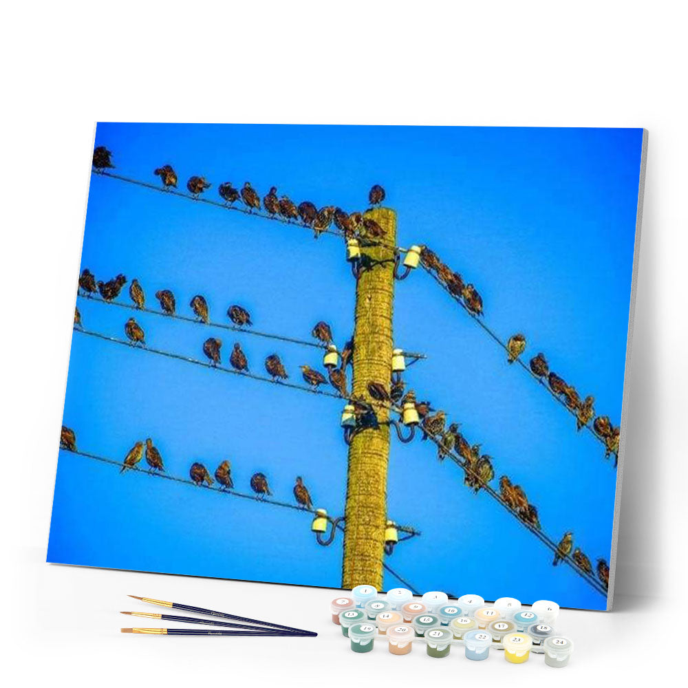 paint by numbers | Birds on Pole | animals birds intermediate | FiguredArt