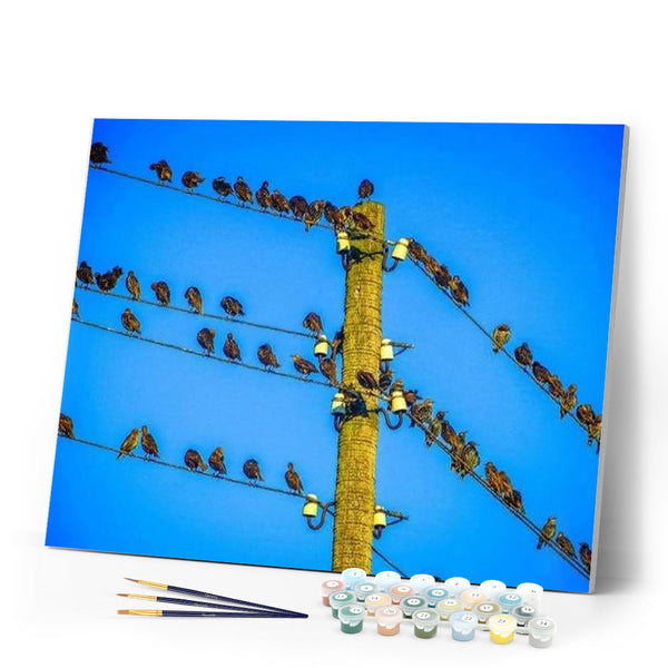 paint by numbers | Birds on Pole | animals birds intermediate | FiguredArt