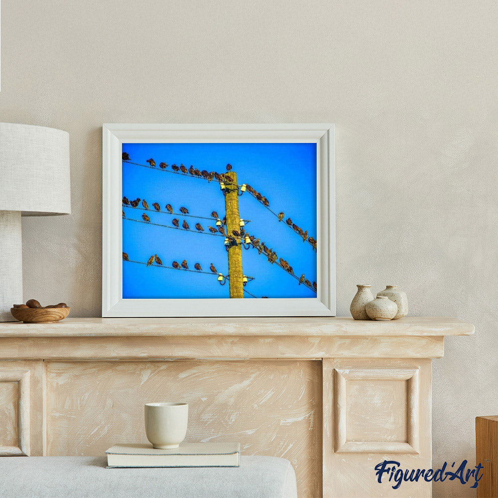 paint by numbers | Birds on Pole | animals birds intermediate | FiguredArt