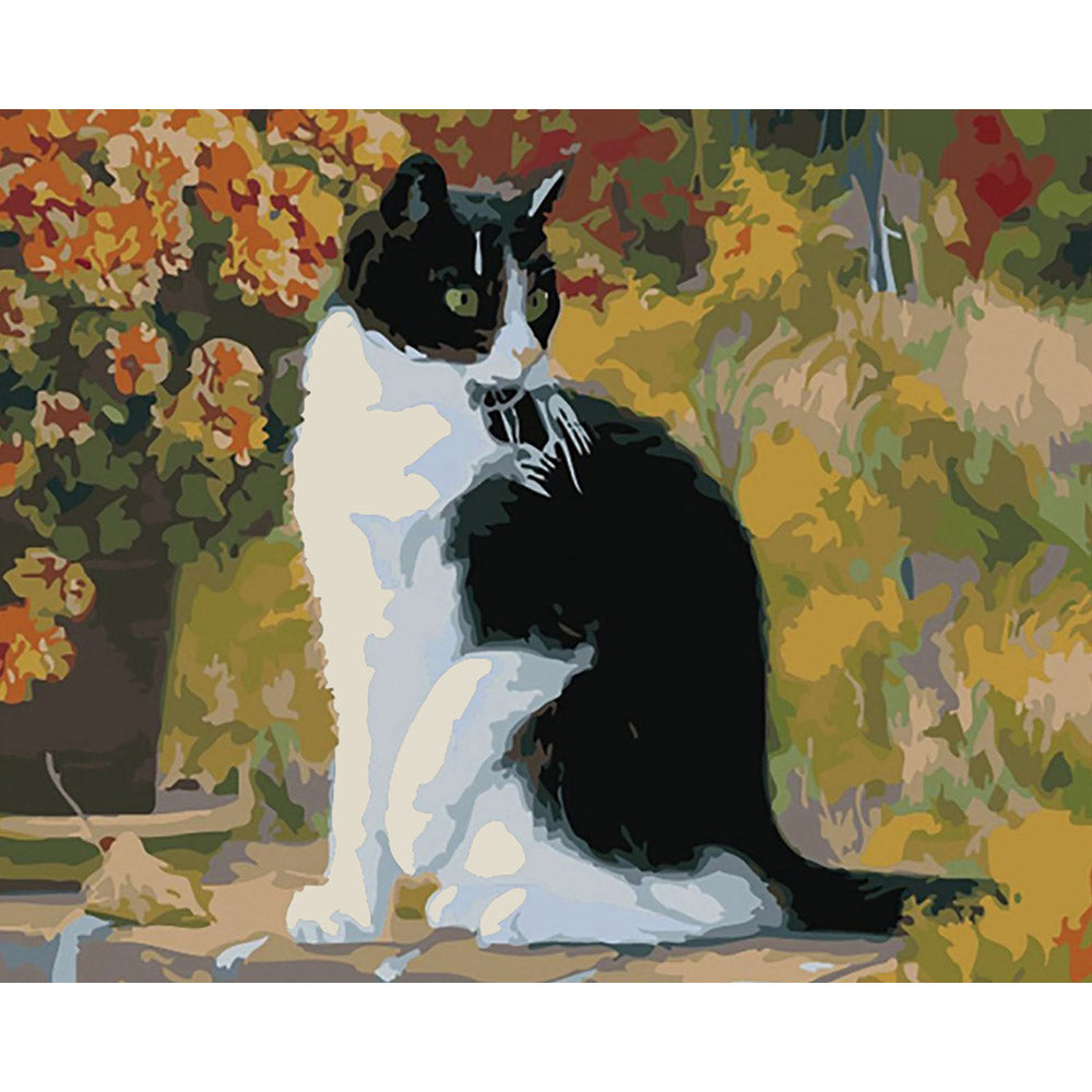 paint by numbers | Black and White Cat | advanced animals cats | FiguredArt