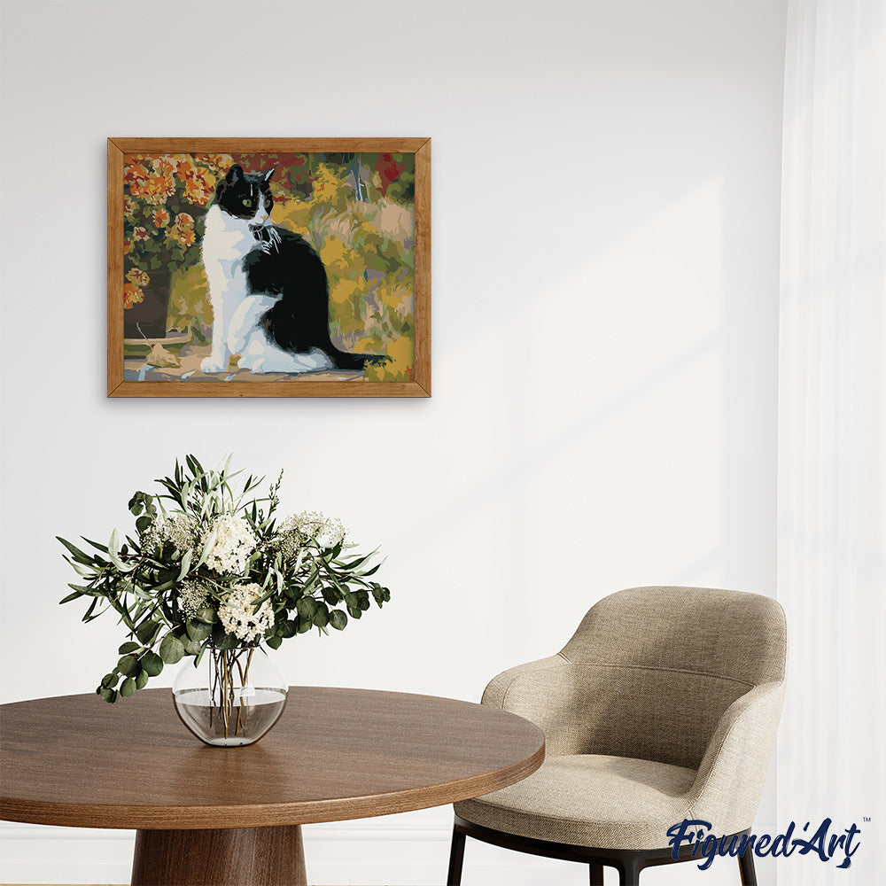 paint by numbers | Black and White Cat | advanced animals cats | FiguredArt