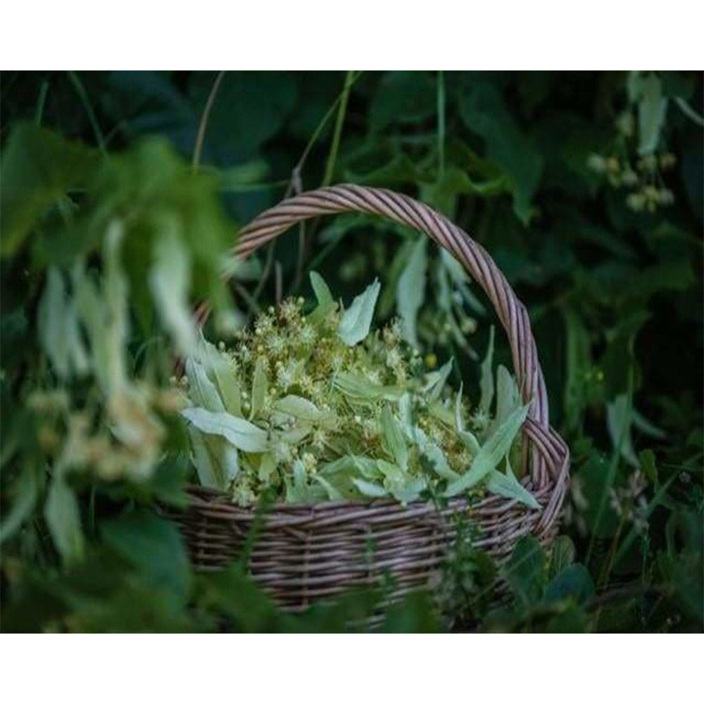 paint by numbers | Basket of Flowers | flowers intermediate | FiguredArt