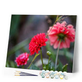 paint by numbers | Bright Red Flower | flowers intermediate | FiguredArt