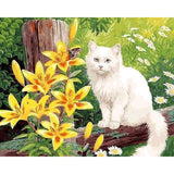 paint by numbers | White Cat and Yellow Flowers | animals cats intermediate | FiguredArt