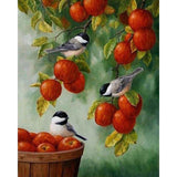 paint by numbers | Birds On Red Apples | advanced animals birds | FiguredArt