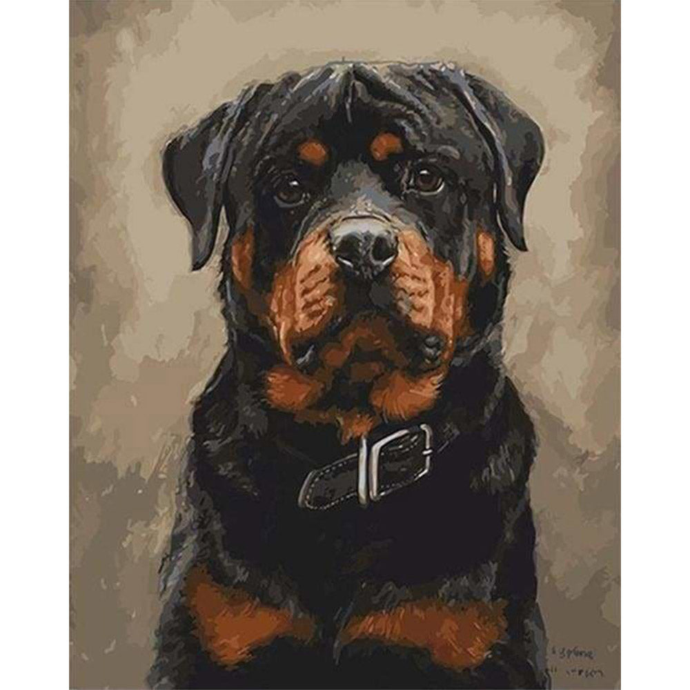 paint by numbers | Black dog | animals dogs intermediate | FiguredArt