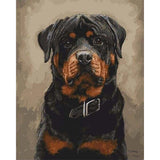 paint by numbers | Black dog | animals dogs intermediate | FiguredArt