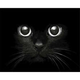 paint by numbers | Black Cat Head | animals cats intermediate | FiguredArt