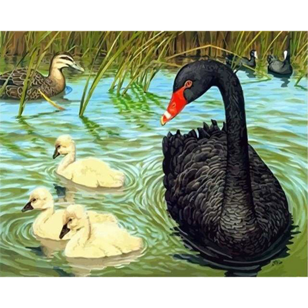 paint by numbers | Birds in the Pond | animals intermediate | FiguredArt