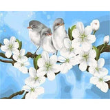 paint by numbers | Birds and White Magnolia | animals beginners birds easy flowers | FiguredArt