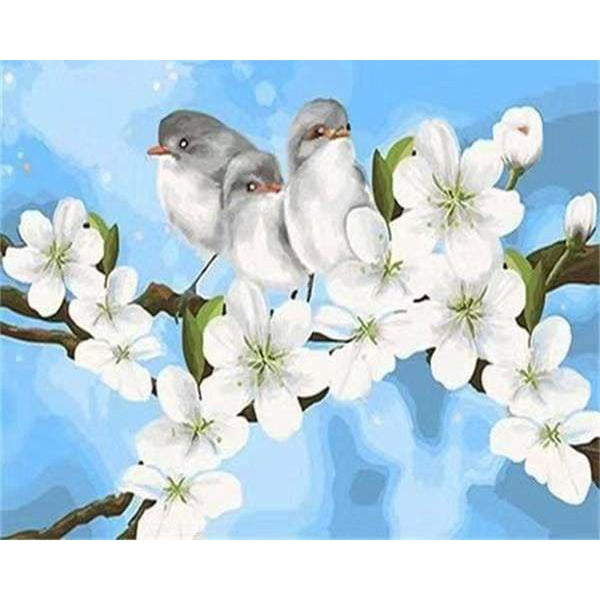 paint by numbers | Birds and White Magnolia | animals beginners birds easy flowers | FiguredArt