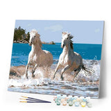 paint by numbers | White Horses and Seaside | animals horses intermediate | FiguredArt
