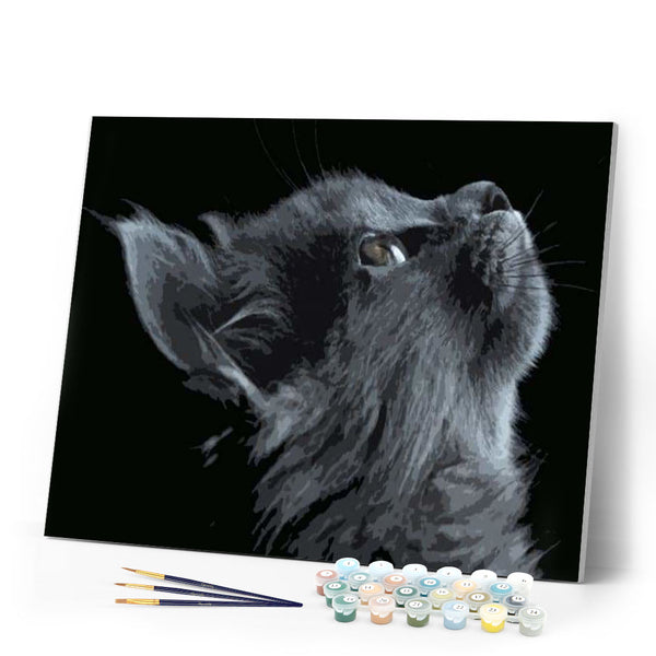 paint by numbers | Black Cat Looking up | advanced animals cats | FiguredArt