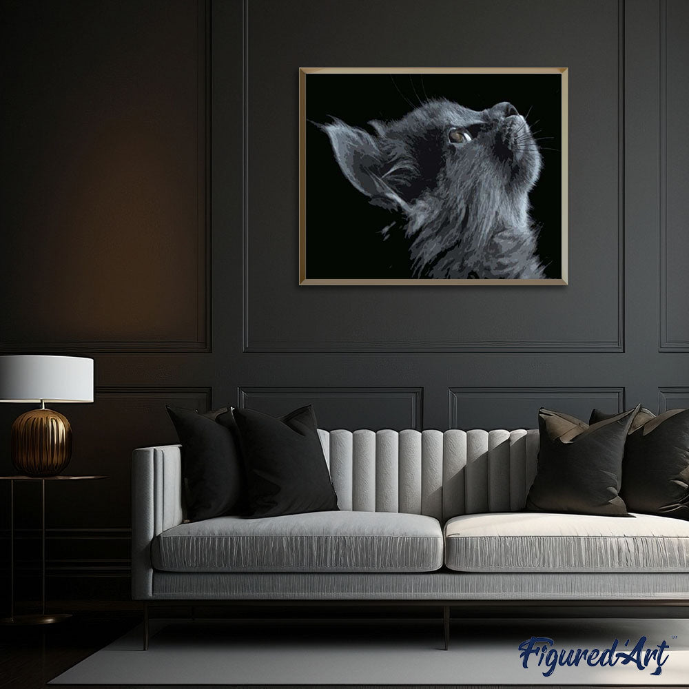 paint by numbers | Black Cat Looking up | advanced animals cats | FiguredArt