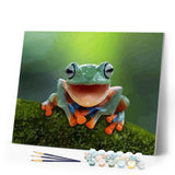 paint by numbers | Little Frog | animals frogs intermediate | FiguredArt
