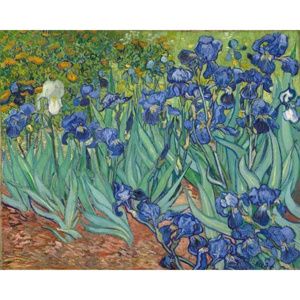 paint by numbers | Van Gogh Iris | advanced famous paintings flowers van gogh | FiguredArt
