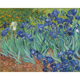 paint by numbers | Van Gogh Iris | advanced famous paintings flowers van gogh | FiguredArt
