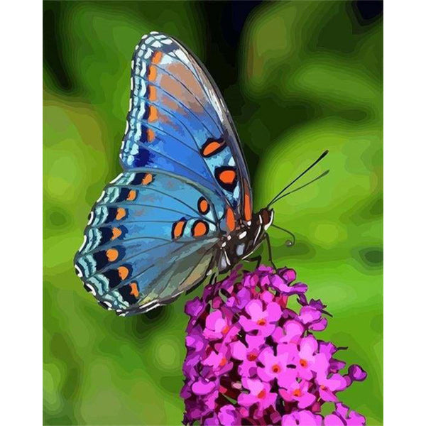 paint by numbers | Butterfly Flowers | animals butterflies flowers intermediate | FiguredArt