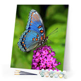 paint by numbers | Butterfly Flowers | animals butterflies flowers intermediate | FiguredArt