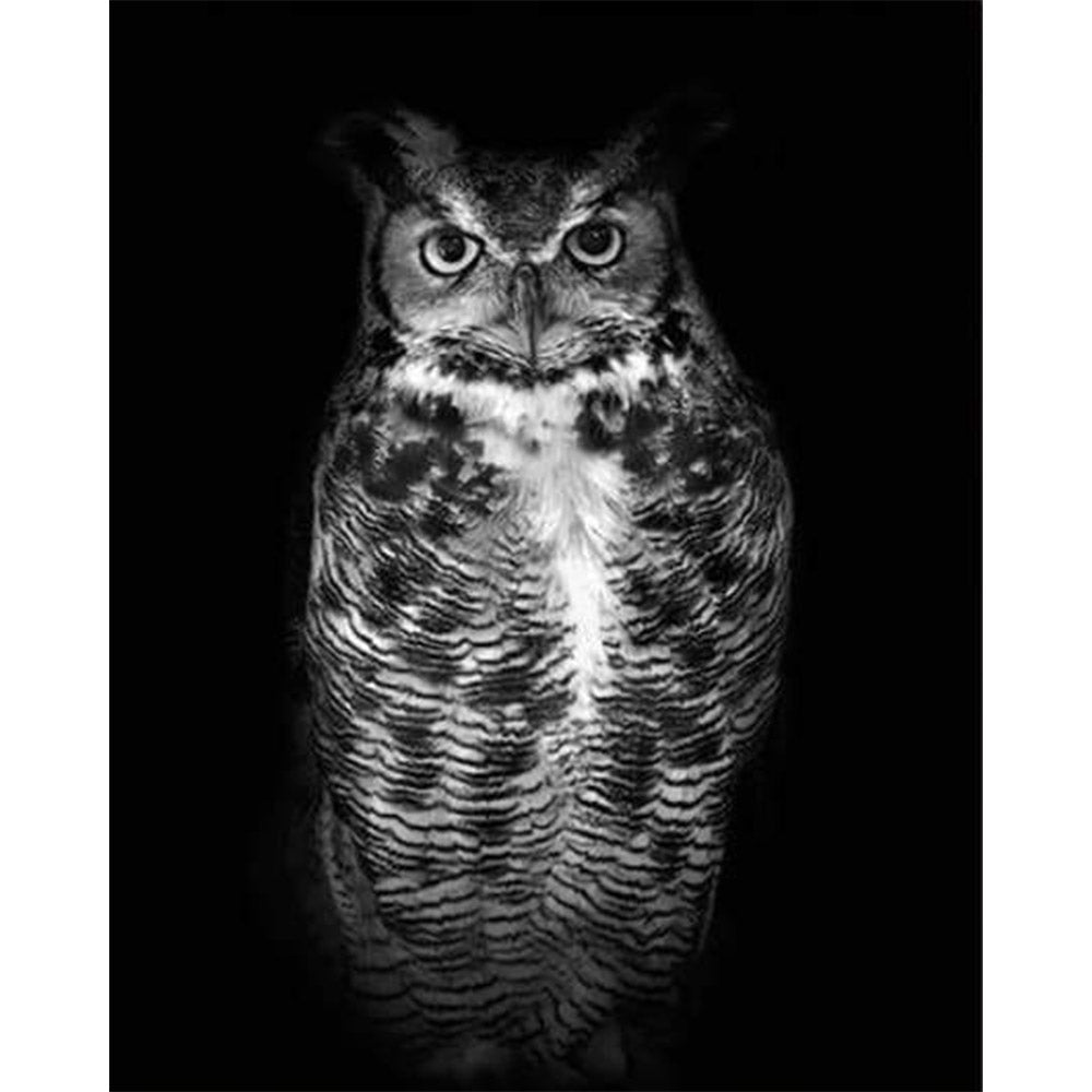 paint by numbers | Black Owl | advanced animals owls | FiguredArt