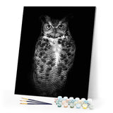 paint by numbers | Black Owl | advanced animals owls | FiguredArt