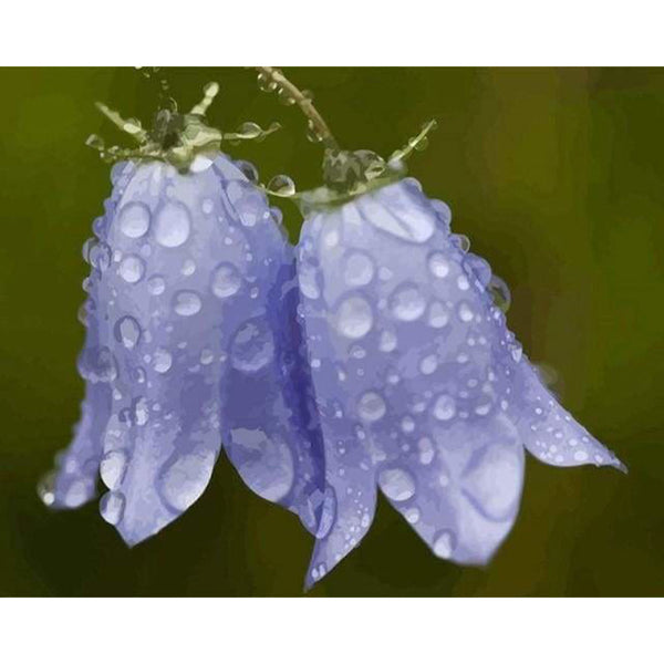 paint by numbers | Blue Flower | flowers intermediate | FiguredArt