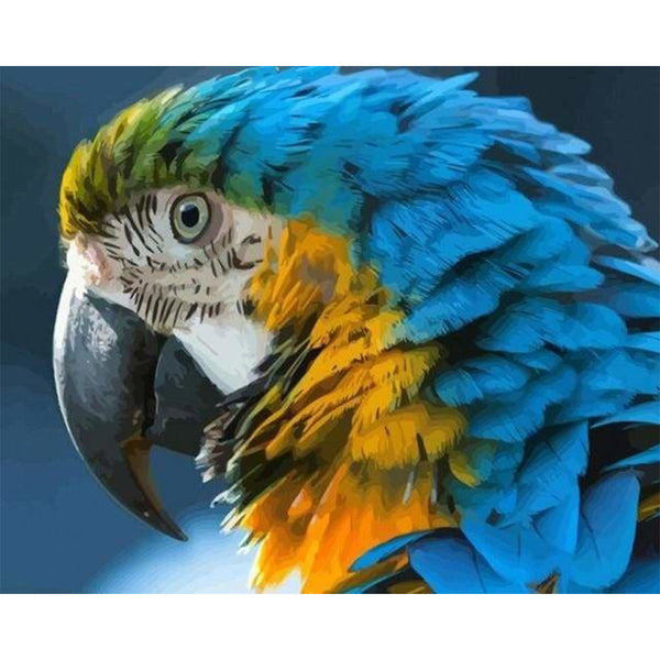 paint by numbers | Blue and Yellow Macaw | animals birds intermediate | FiguredArt
