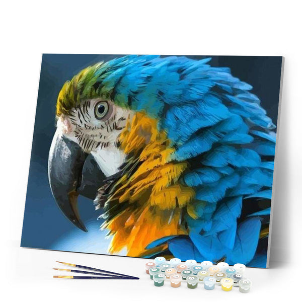 paint by numbers | Blue and Yellow Macaw | animals birds intermediate | FiguredArt