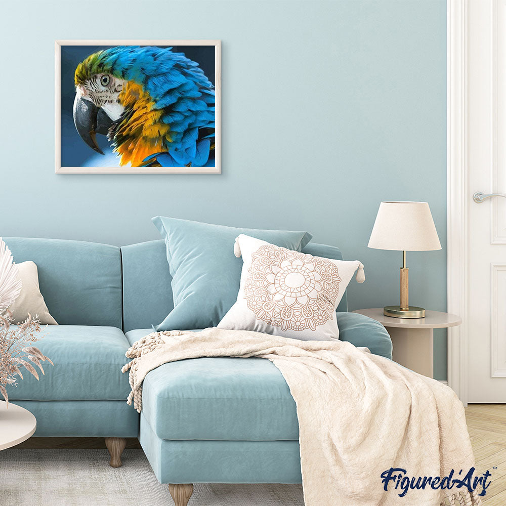 paint by numbers | Blue and Yellow Macaw | animals birds intermediate | FiguredArt