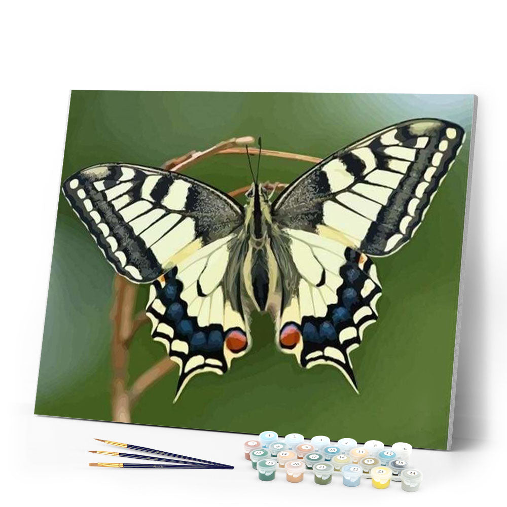 paint by numbers | Butterfly Wings | animals butterflies intermediate | FiguredArt