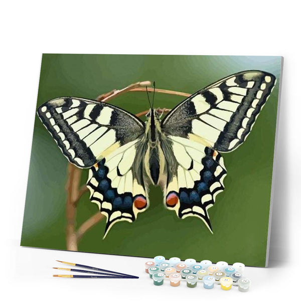 paint by numbers | Butterfly Wings | animals butterflies intermediate | FiguredArt