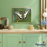 paint by numbers | Butterfly Wings | animals butterflies intermediate | FiguredArt