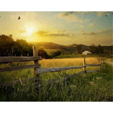 paint by numbers | Countryside colors | advanced landscapes new arrivals | FiguredArt