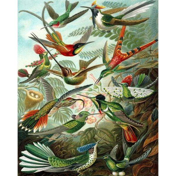 paint by numbers | All the Birds | advanced animals birds new arrivals | FiguredArt