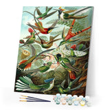 paint by numbers | All the Birds | advanced animals birds new arrivals | FiguredArt