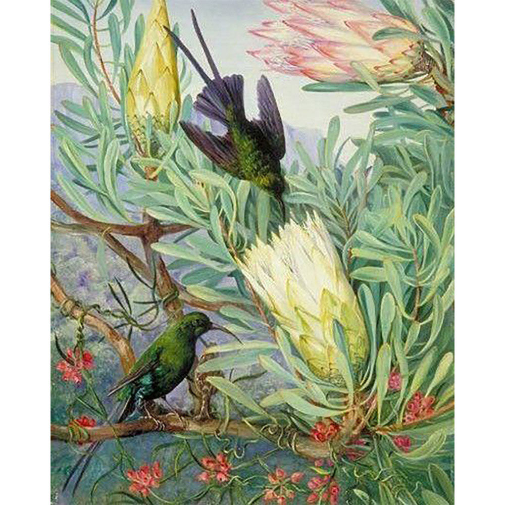 paint by numbers | Birds and Big Flowers | advanced animals birds flowers new arrivals | FiguredArt