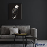 paint by numbers | Big Eagle White and Black | animals birds eagles intermediate new arrivals | FiguredArt