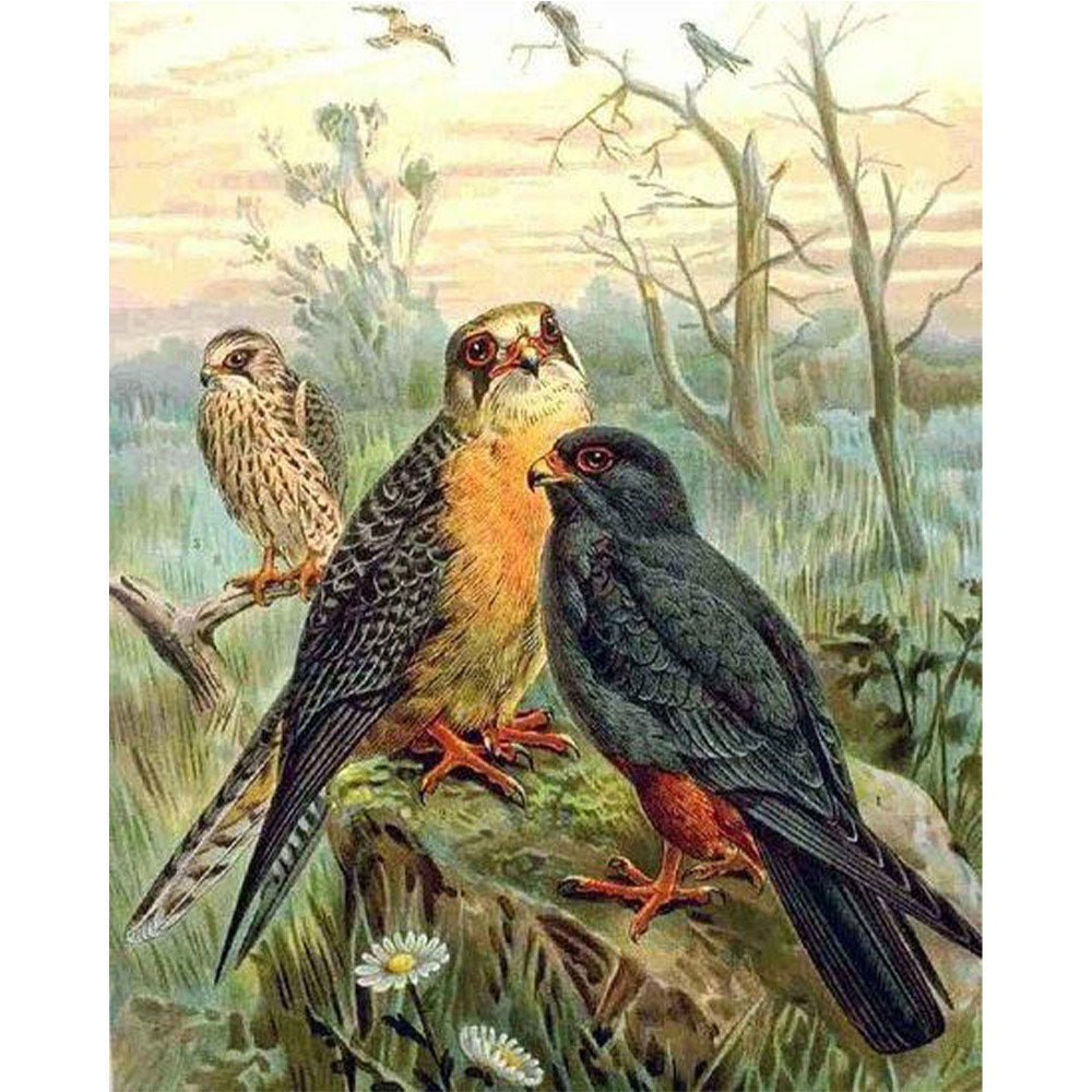 paint by numbers | Birds in the Forest | advanced animals birds new arrivals | FiguredArt