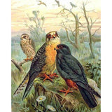 paint by numbers | Birds in the Forest | advanced animals birds new arrivals | FiguredArt