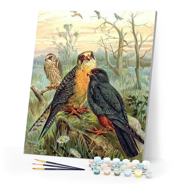 paint by numbers | Birds in the Forest | advanced animals birds new arrivals | FiguredArt