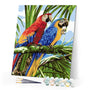 paint by numbers | Parrots in the Tropics | animals birds easy parrots | FiguredArt