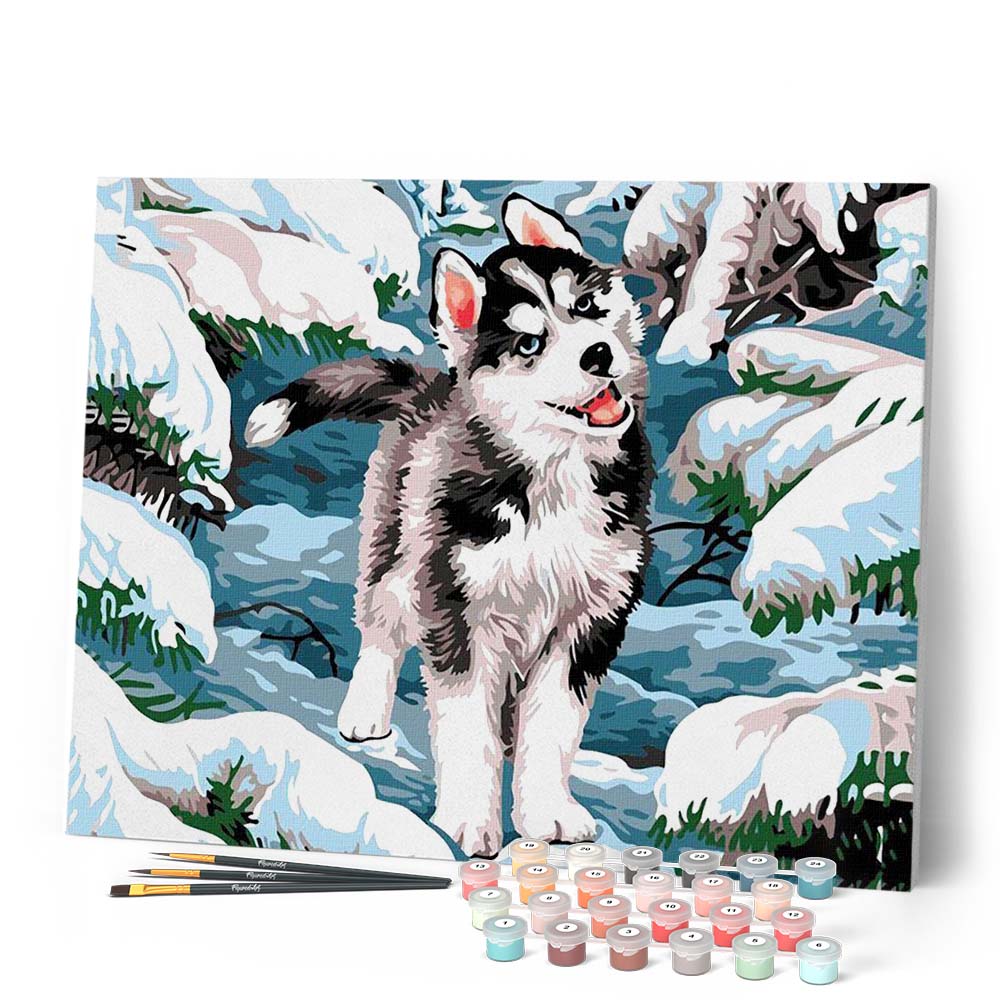 Paint by numbers - Siberian Husky – Figured'Art US